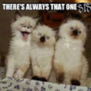 Meet your Posher, Tori